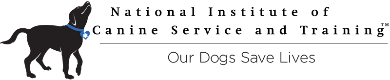medical and wellness service dogs